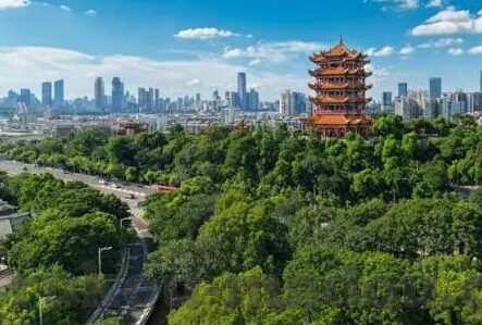 91麻豆糖心-穿越数字迷雾，91麻豆糖心——一个现象及其背后的思考