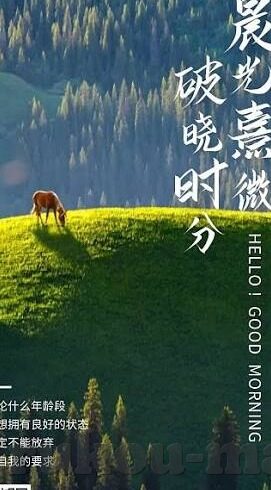 97麻豆视频在线-守望网络净土，理性面对网络内容的多元化