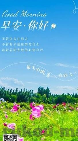 大象传媒短视频观看-大象传媒，解锁短视频观看新体验