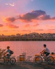 精品麻豆91-与信息筛选的平衡