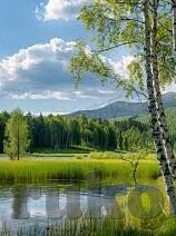 伦理聚合在线观看-伦理聚合，在线观看的伦理边界与思考