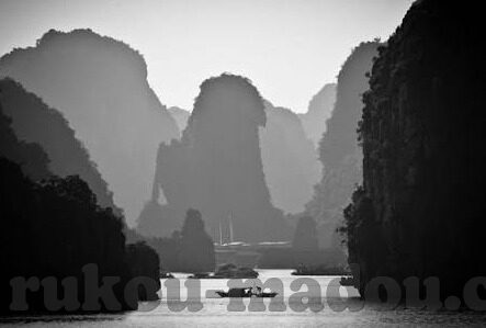 麻豆91官网下载-麻豆91，创意与影音的视觉盛宴