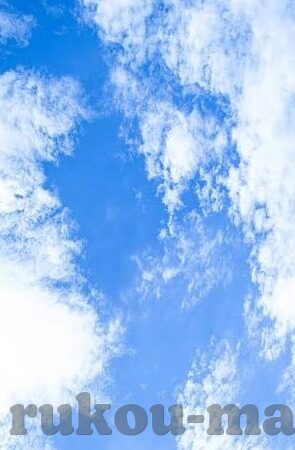 麻豆兔子先生视频-麻豆兔子先生视频，网络文化与创意的交汇