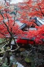 手机在线观看免费日韩av伦理电影-探索日韩文化与伦理视角下的在线影视内容