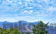糖心app官网ios-糖心App在iOS平台的精彩体验与特色应用探索